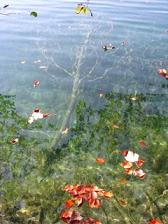 Croatia Excursions - Plitvice National Park